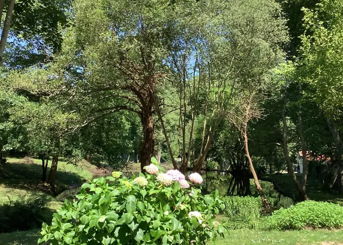 La D Angel Vila Carcares-Sainte-Croix